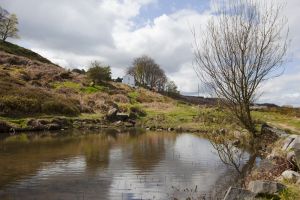 white wells from moor pool sm.jpg